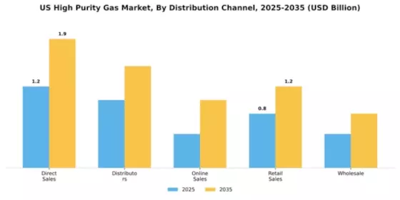 US High Purity Gas Market Segment Image 1