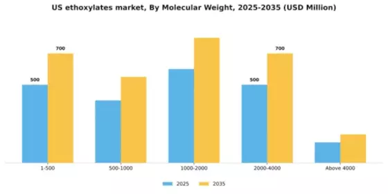 US Ethoxylates Market Segment Image 1