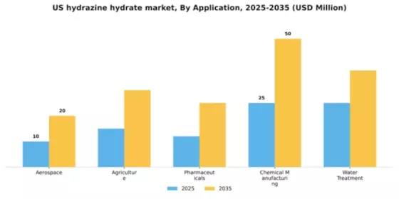 US Hydrazine Hydrate Market Segment Image 0