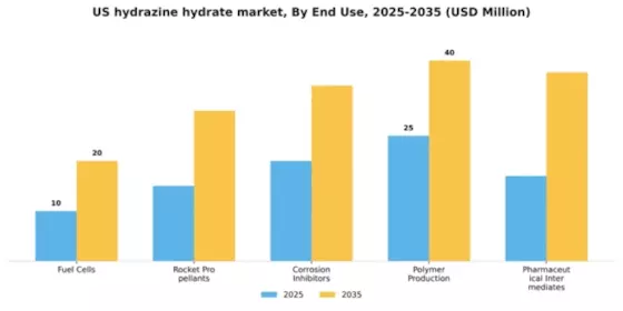US Hydrazine Hydrate Market Segment Image 1