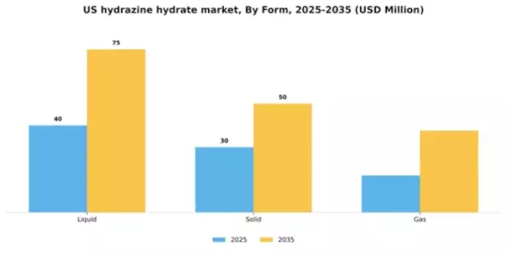 US Hydrazine Hydrate Market Segment Image 2