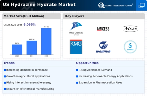 US Hydrazine Hydrate Market Infographic