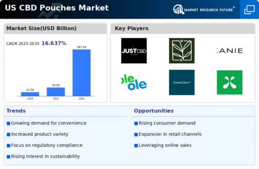 US CBD Pouches Market Infographic