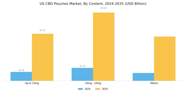 US CBD Pouches Market Segment Image 0