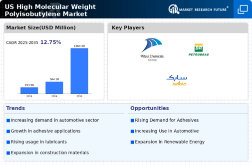 US High Molecular Weight Polyisobutylene Market Infographic