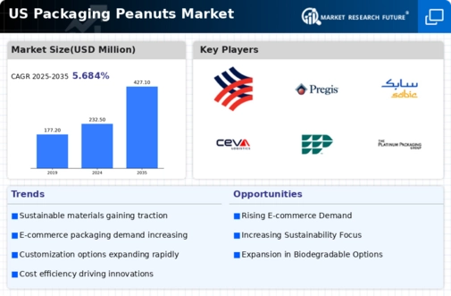 US Packaging Peanuts Market Infographic