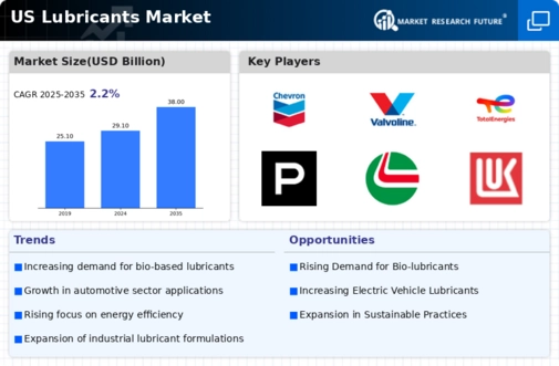 US Lubricants Market Infographic