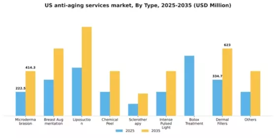 US Anti-Aging Services Market Segment Image 1