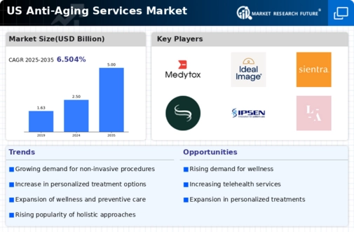 US Anti-Aging Services Market Infographic