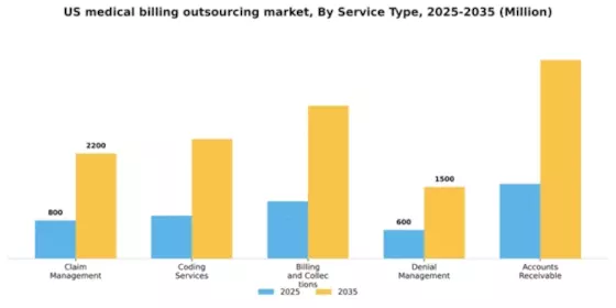 US Medical Billing Outsourcing Market Segment Image 2