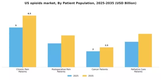US Opioids Market Segment Image 0