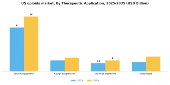 US Opioids Market Segment Image 2
