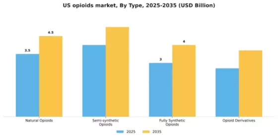 US Opioids Market Segment Image 3