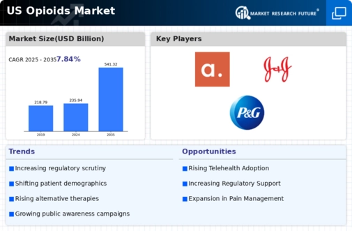 US Opioids Market Infographic