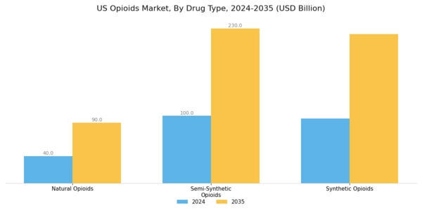 US Opioids Market Segment Image 1