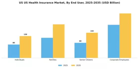 US Health Insurance Market Segment Image 1