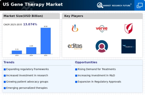 US Gene Therapy Market Infographic