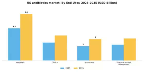 US Antibiotics Market Segment Image 1