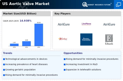 US Aortic Valve Market Infographic
