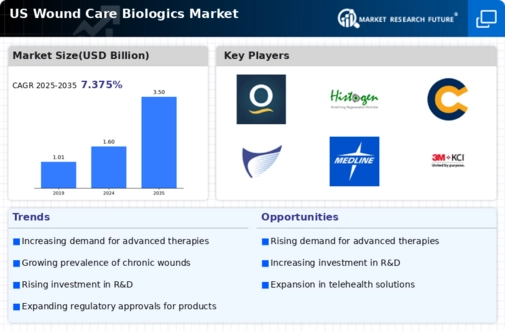 US Wound Care Biologics Market Infographic