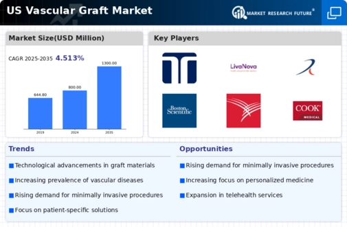 US Vascular Graft Market Infographic