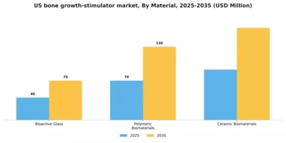 US Bone Growth Stimulator Market Segment Image 2