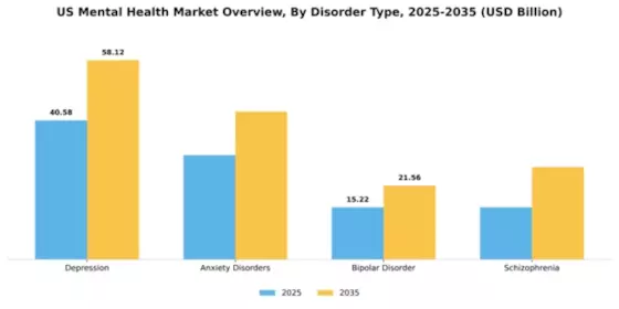 US Mental Health Market Segment Image 0