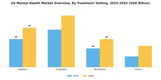 US Mental Health Market Segment Image 3