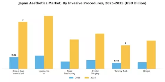 Japan Aesthetics Market Segment Image 1