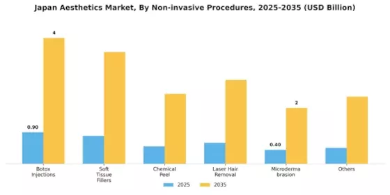 Japan Aesthetics Market Segment Image 2