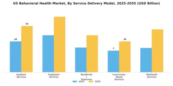 US Behavioral Health Market Segment Image 3