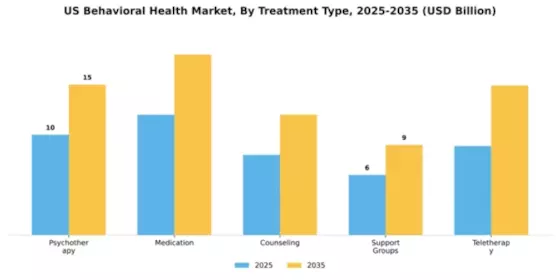 US Behavioral Health Market Segment Image 4