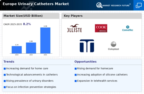 Europe Urinary Catheters Market Infographic