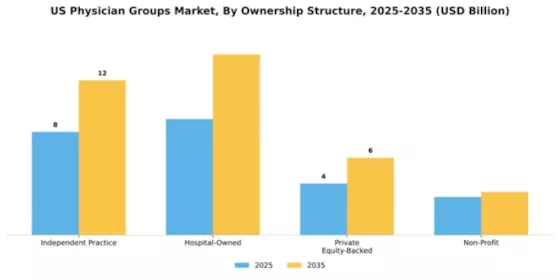 US Physician Groups Market Segment Image 0