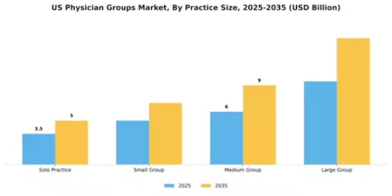 US Physician Groups Market Segment Image 2