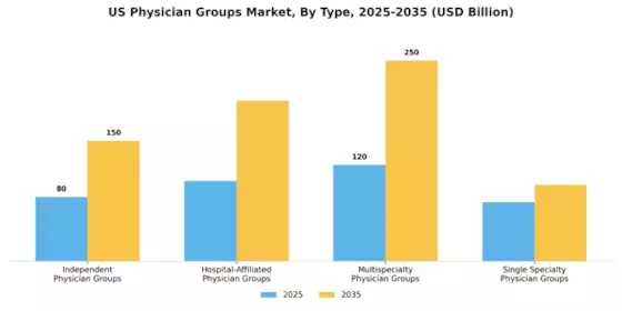 US Physician Groups Market Segment Image 0