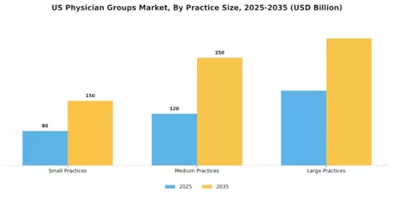 US Physician Groups Market Segment Image 2