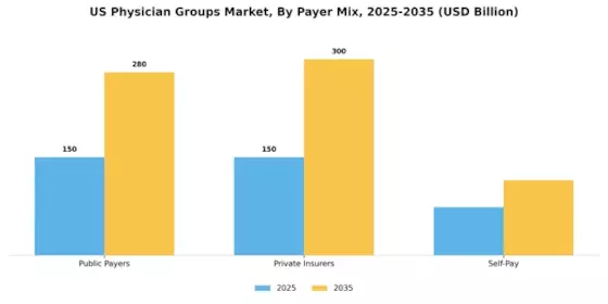 US Physician Groups Market Segment Image 3