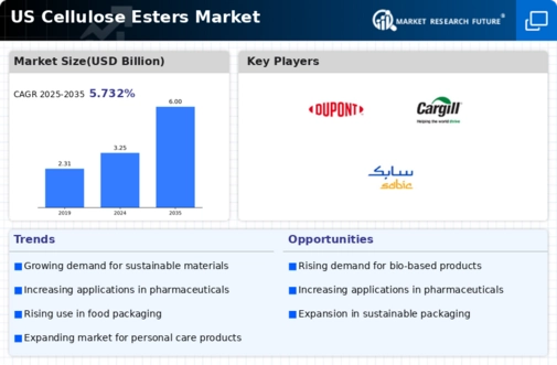 US Cellulose Esters Market Infographic