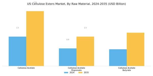 US Cellulose Esters Market Segment Image 0