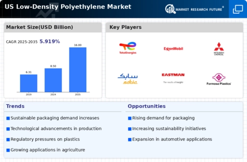 US Low-density Polyethylene Market Infographic
