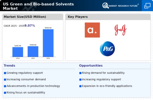 US Green and Bio-Based Solvents Market Infographic