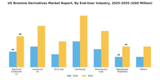 US Bromine Derivatives Market Segment Image 1