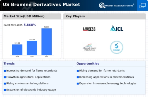US Bromine Derivatives Market Infographic