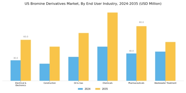 US Bromine Derivatives Market Segment Image 2