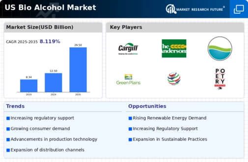 US Bio Alcohol Market Infographic