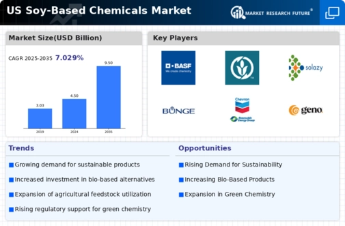 US Soy Based Chemicals Market Infographic