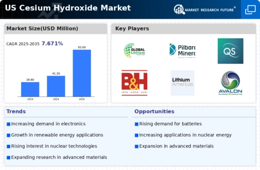 US Cesium Hydroxide Market Infographic
