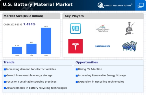 US Battery Material Market Infographic