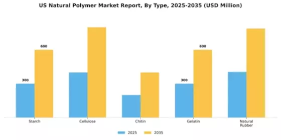 US Natural Polymer Market Segment Image 4